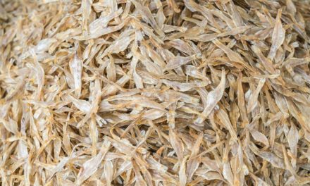 Manfaat Besar Dari Ikan Teri: Meskipun Kecil, Penuh Nutrisi!