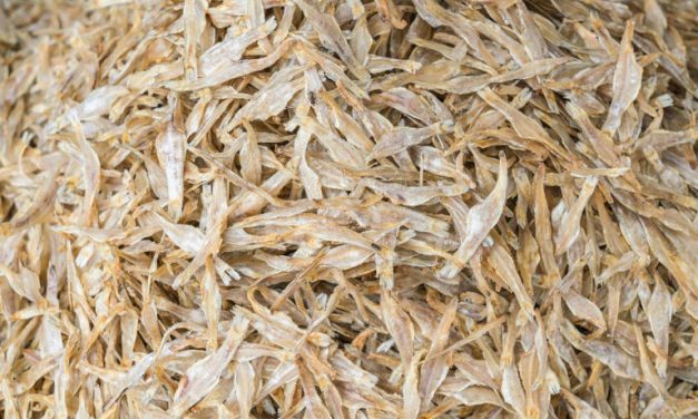 Manfaat Besar Dari Ikan Teri: Meskipun Kecil, Penuh Nutrisi!