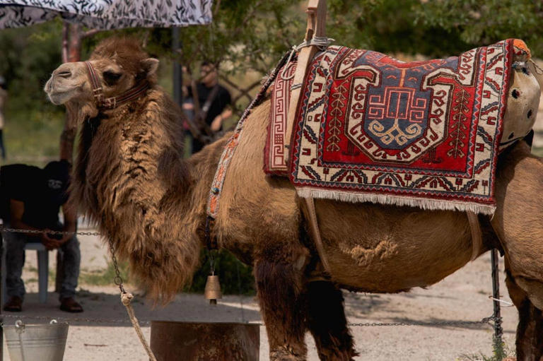 Jejak Tradisi Idul Adha Yang Berbeda Di Setiap Negara
